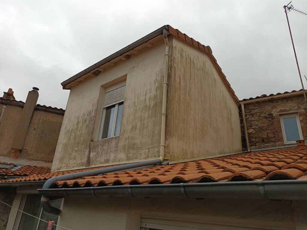 Façade présentant des salissures importantes, avec un encrassement généralisé dû aux intempéries et aux dépôts polluants.